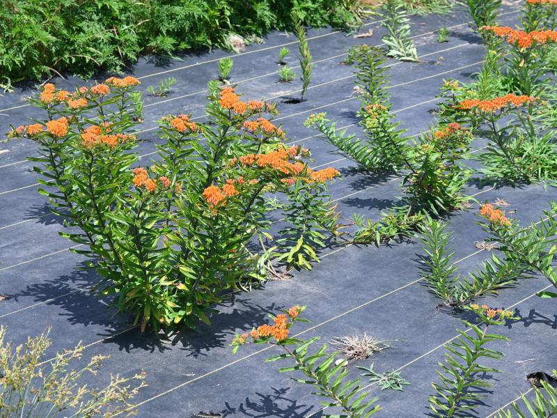 at founders by maggie