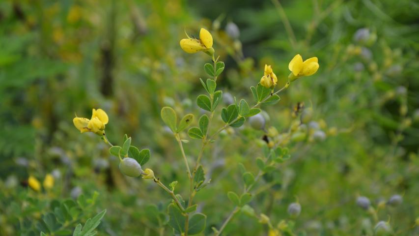 at nursery by maggie