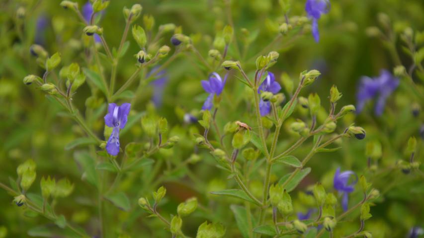 at founders by maggie