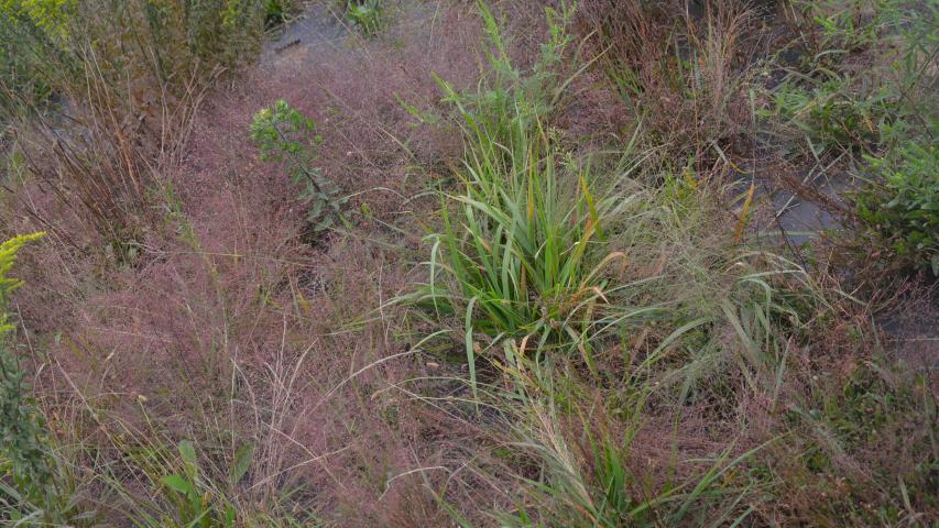 at founders by maggie