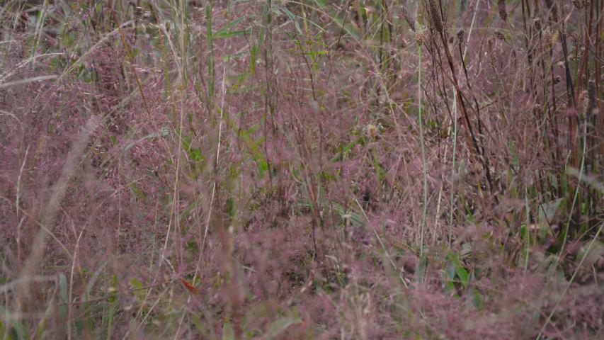 at founders by maggie