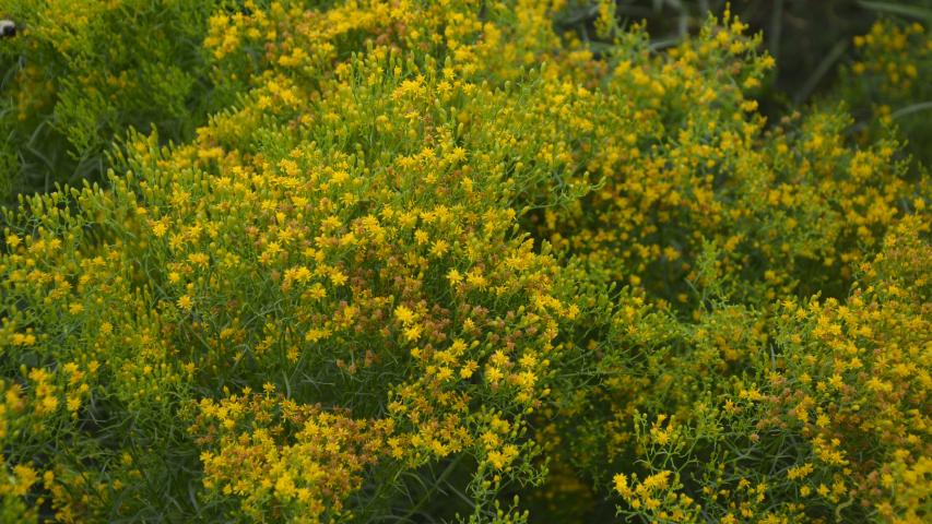 EUCA from founders by maggie