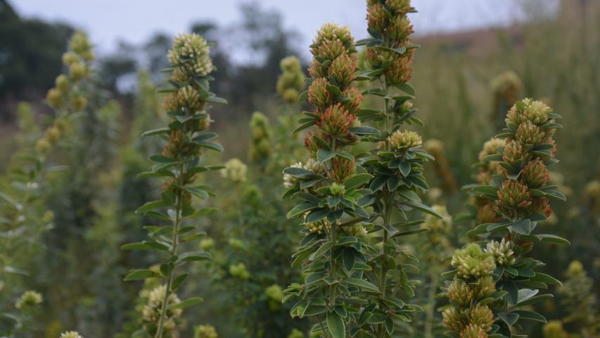 at nursery by maggie