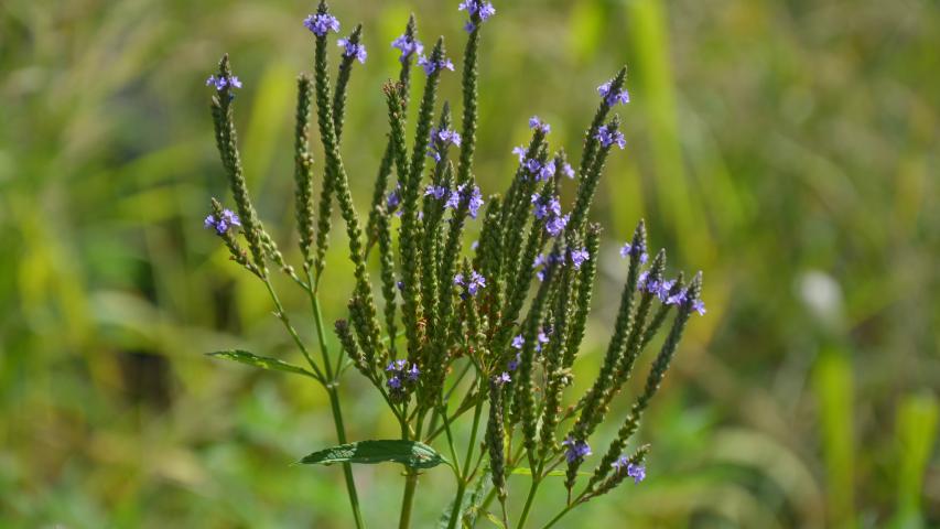 at founders by maggie