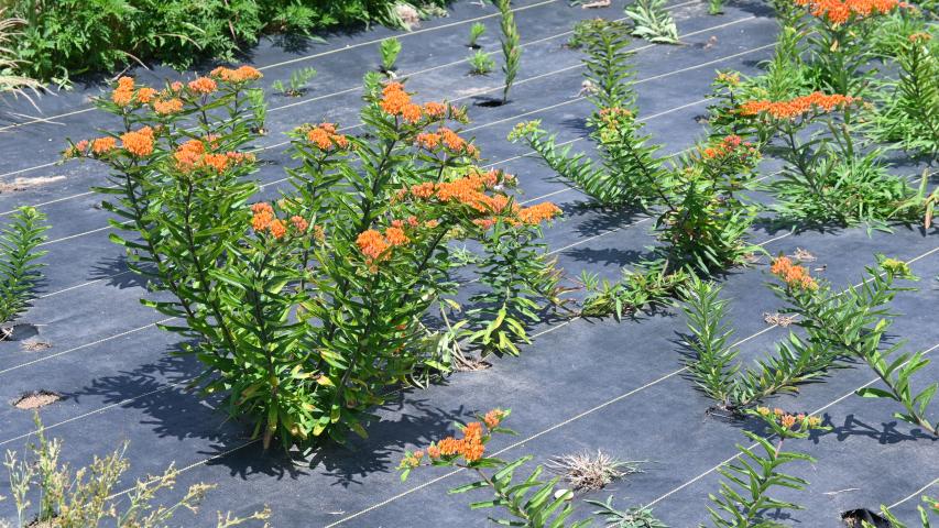 at founders by maggie