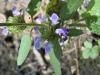 Self heal